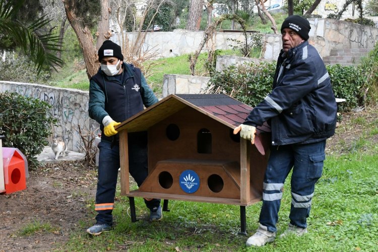 İzmir Karabağlar'da parklara kedi evleri yerleştiriliyor